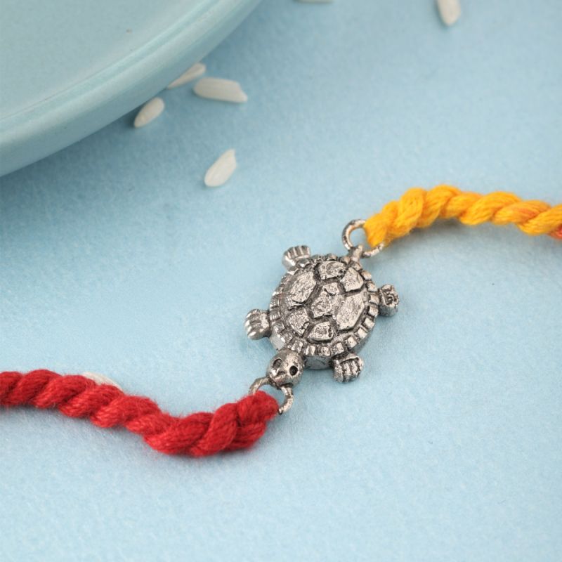 Lucky Charm Turtle Silver Rakhi